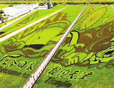 “农”墨重彩促振兴津沽大地绘新卷(图1)