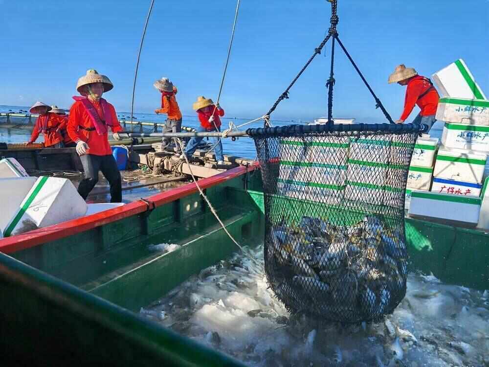 广东“蓝色引擎”加速推进省属企业全面布局海洋经济(图2)