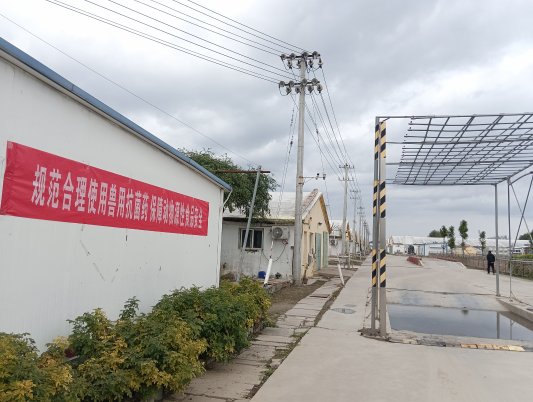 畜牧减抗“不仅可行还有实打实的经济账！”(图1)
