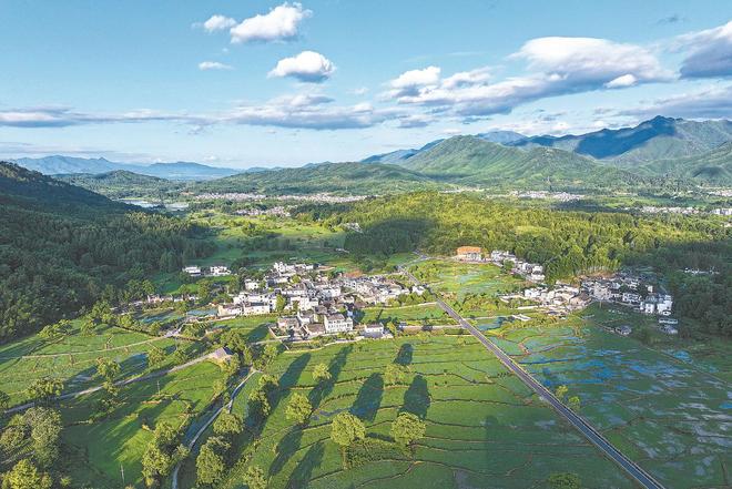 【牢记嘱托感恩奋进——安徽往前赶】推进深层次改革和高水平开放(图1)