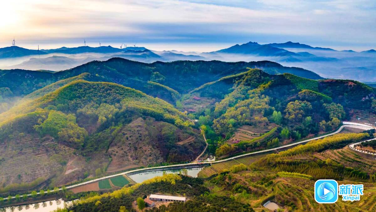 走好“镇”兴路激发“镇”能量潍坊诸城市皇华镇：奏响工业发展与乡村振兴“交响曲”(图1)