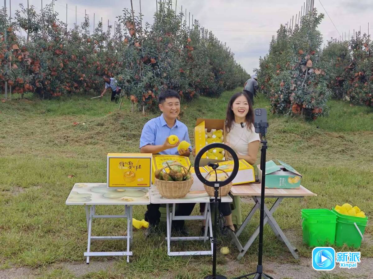 走好“镇”兴路激发“镇”能量潍坊诸城市皇华镇：奏响工业发展与乡村振兴“交响曲”(图2)