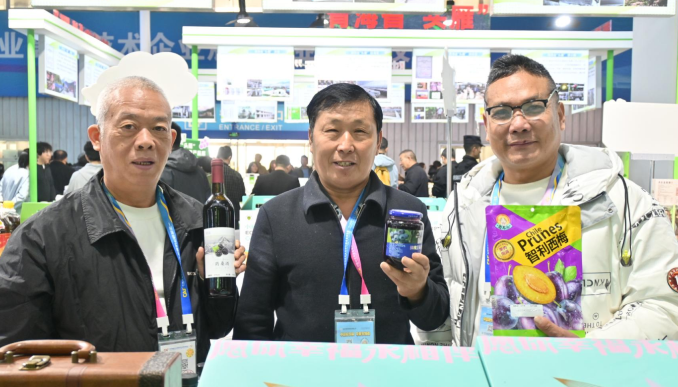 乡村产业振兴一二三产融合发展的领头雁(图1)