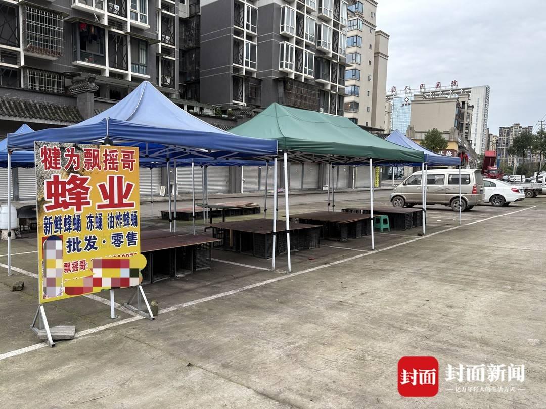 央视曝光“杀人蜂”滥养牟利引关注当地回应：正联合调查虎头蜂养殖情况(图2)