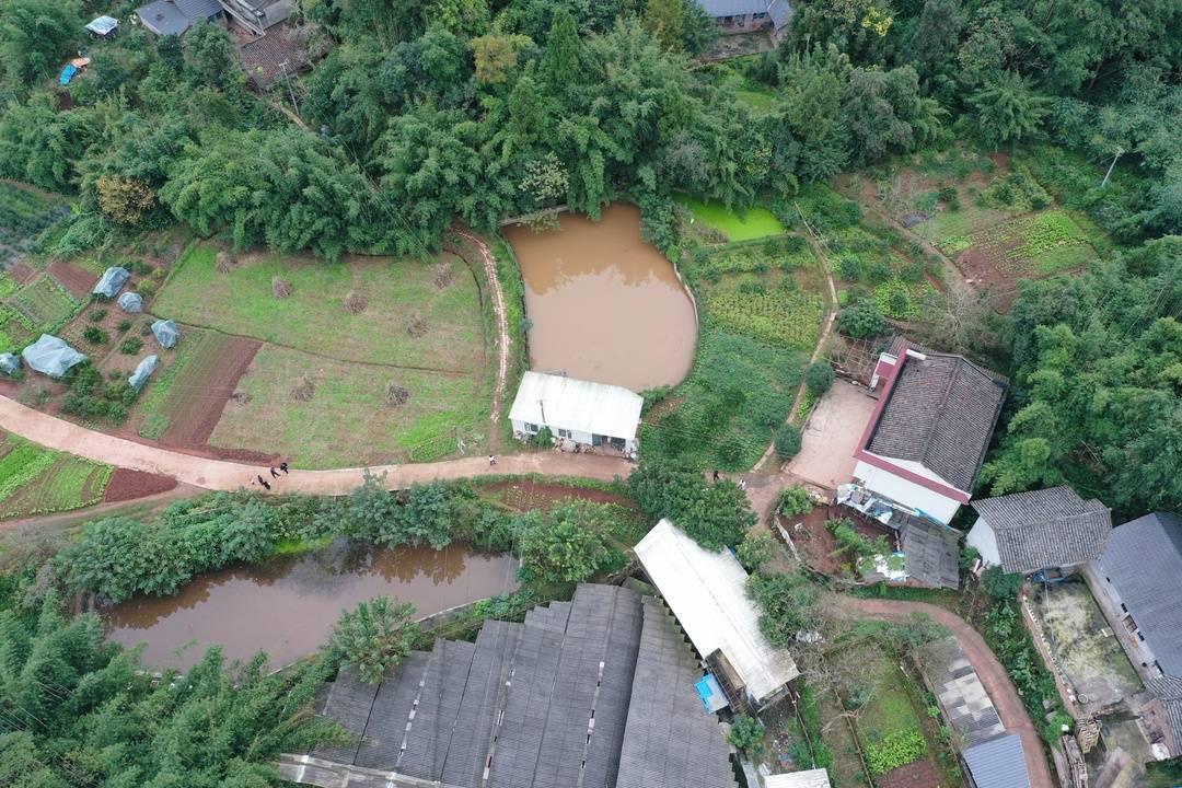 央视曝光“杀人蜂”滥养牟利引关注当地回应：正联合调查虎头蜂养殖情况(图3)