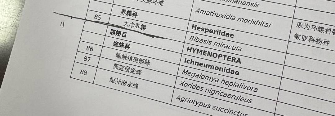 央视曝光“杀人蜂”滥养牟利引关注当地回应：正联合调查虎头蜂养殖情况(图7)