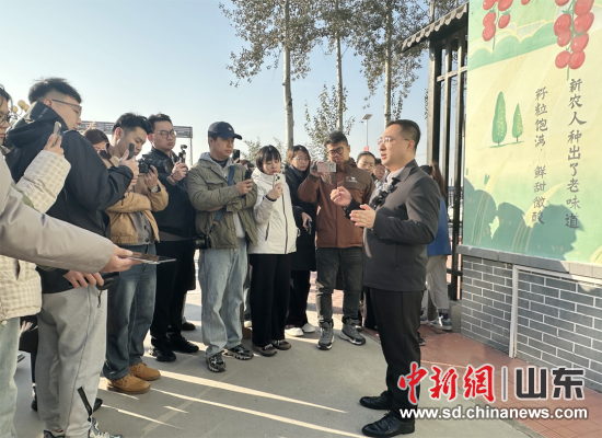 “片区化”的5种“化”学反应——乡村振兴的“潍坊答卷”(图1)