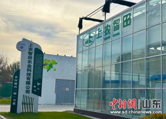 “片区化”的5种“化”学反应——乡村振兴的“潍坊答卷”(图2)