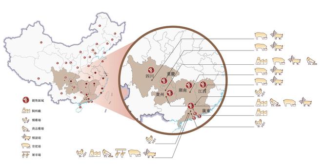 “鸡王”养猪年入32亿(图2)