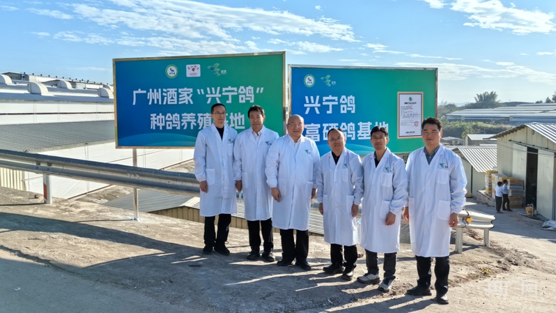 广州酒家携手金绿集团共建“兴宁鸽”种鸽养殖基地(图2)