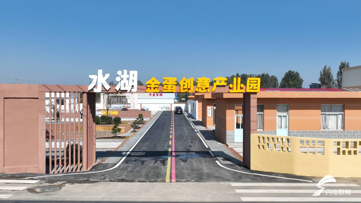 片区化推进乡村振兴“发展的火种”正在齐鲁沃野“抱团”播撒(图3)
