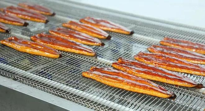 债台高筑仍狂撒8亿购苗鳗鱼龙头在“赌”一个怎样的未来？(图2)