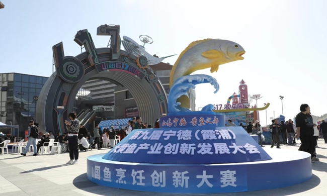 第九届宁德（霞浦）大黄鱼产业创新发展大会举行(图5)