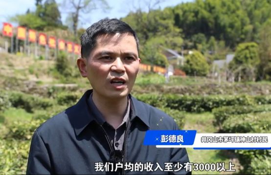 大国小村丨黄洋界下绿映红这个小村靠这两样“出圈”(图4)