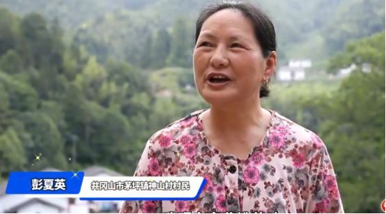 大国小村丨黄洋界下绿映红这个小村靠这两样“出圈”(图2)