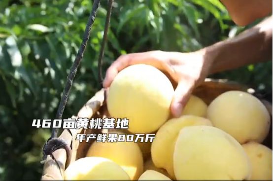大国小村丨黄洋界下绿映红这个小村靠这两样“出圈”(图10)
