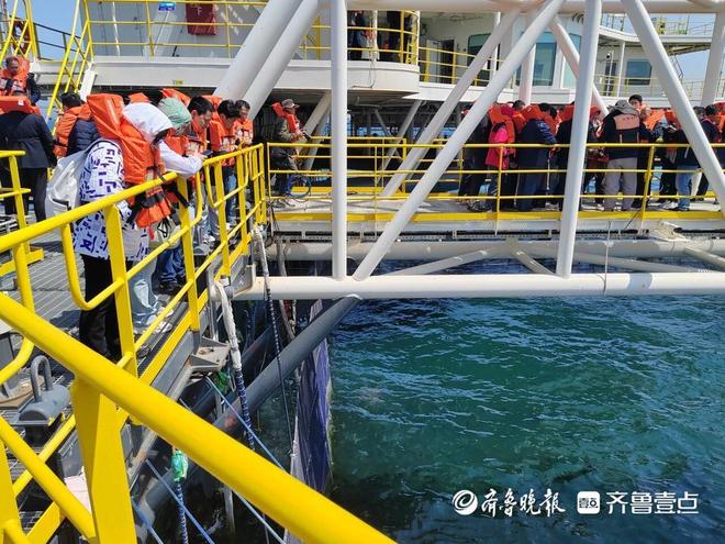 青春华章向海图强溯源长岛“蓝色粮仓”揭开三文鱼深远海养殖神秘面纱(图5)