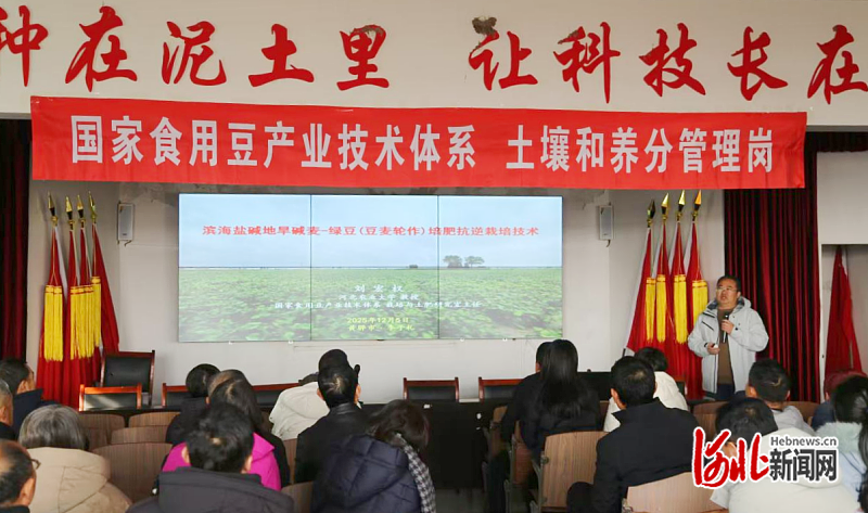 国家食用豆产业技术体系：河北省盐碱地综合利用提升专题班学员到黄骅市基地参观交流(图2)