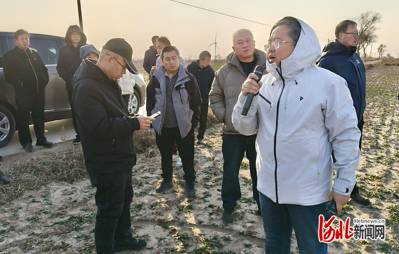 国家食用豆产业技术体系：河北省盐碱地综合利用提升专题班学员到黄骅市基地参观交流(图3)