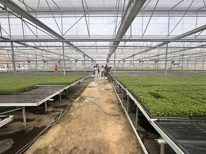 惠州供销社高效整合资源让优质农副产品“入湾出海”！(图2)