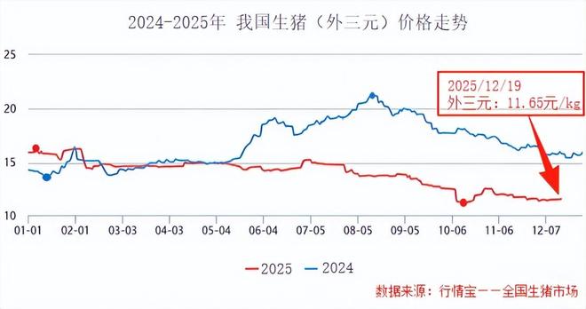 2700亿世界猪王捷报频传！(图2)