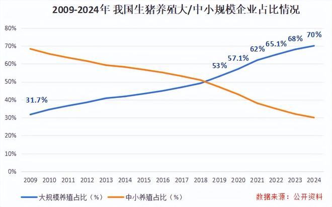 2700亿世界猪王捷报频传！(图4)