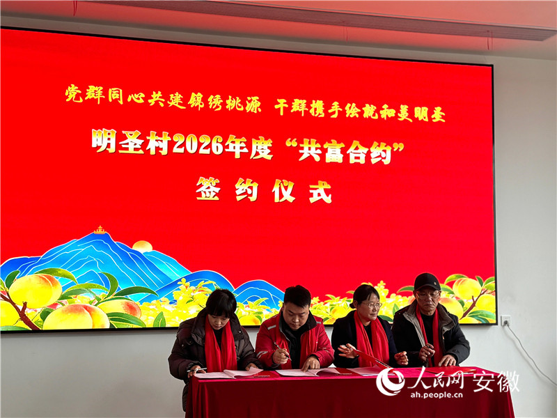 共富路上合肥廬江的“幸福賬本”(图4)