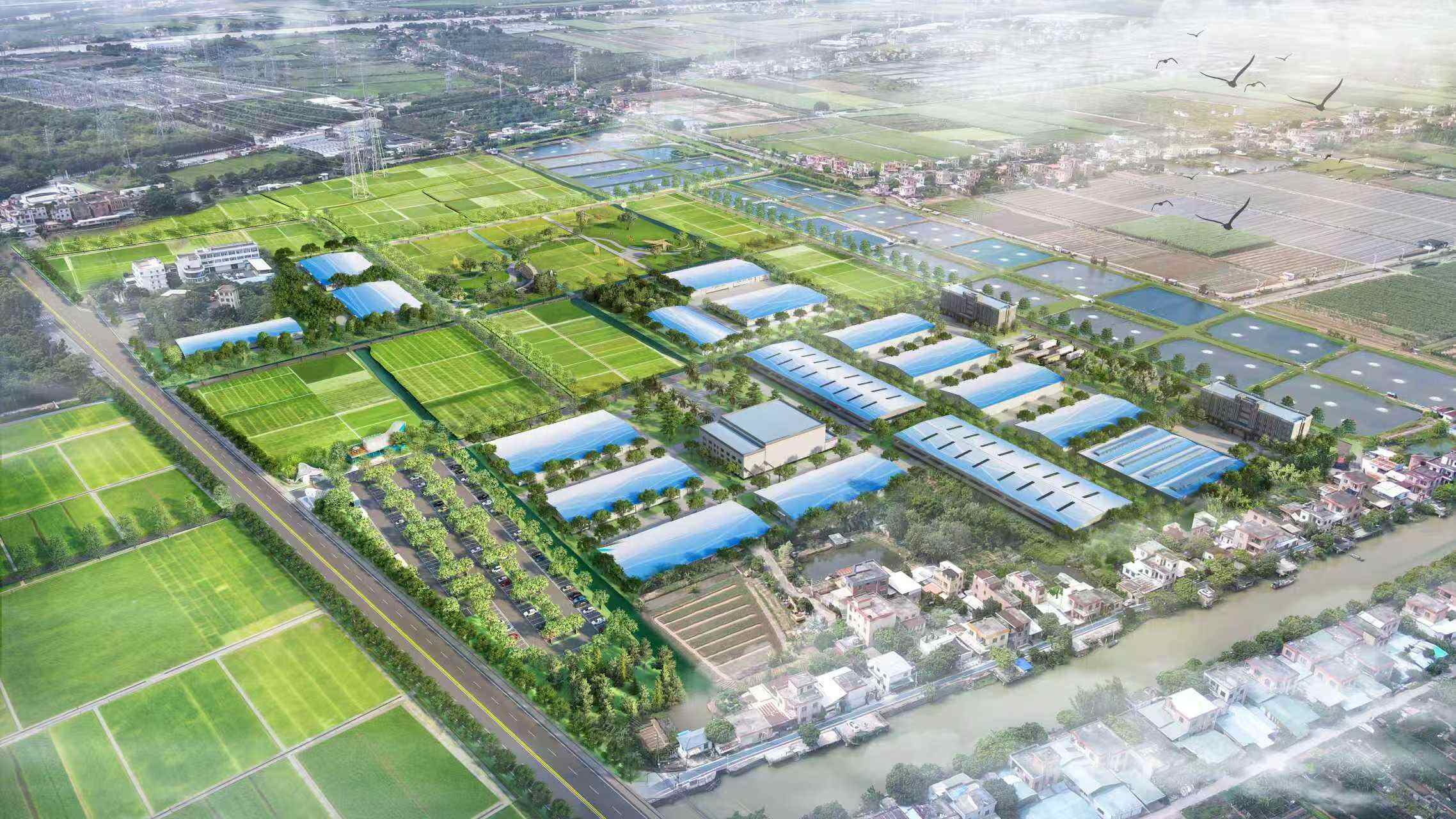 两大观赏鱼头部企业落户广州南沙助力打造大湾区产业新高地(图2)