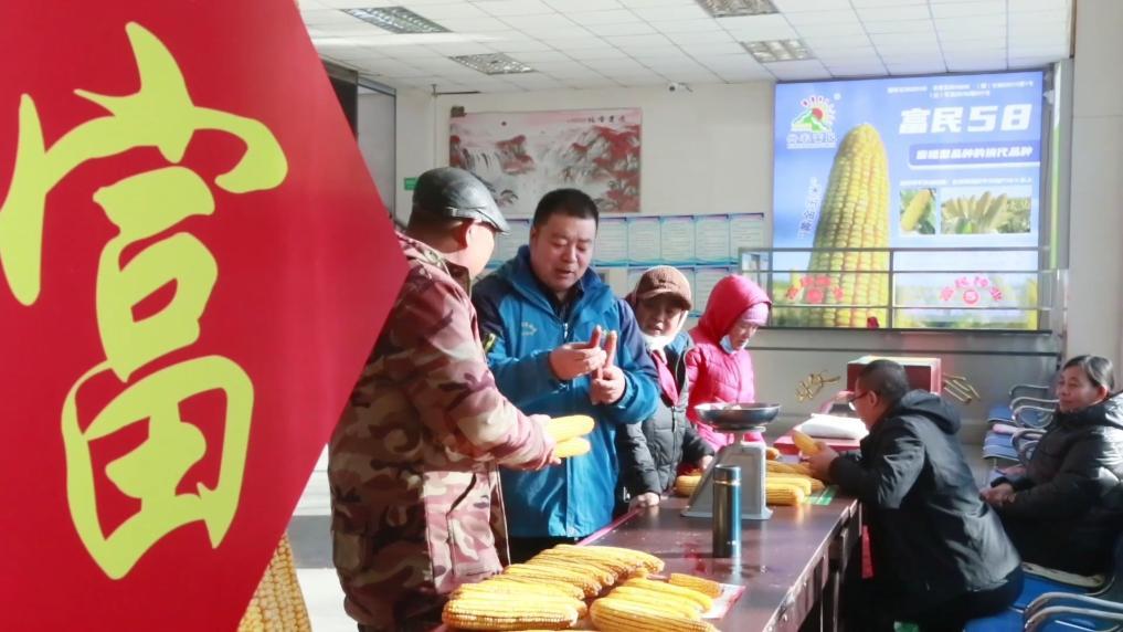 东北粮仓守护中国饭碗(图5)