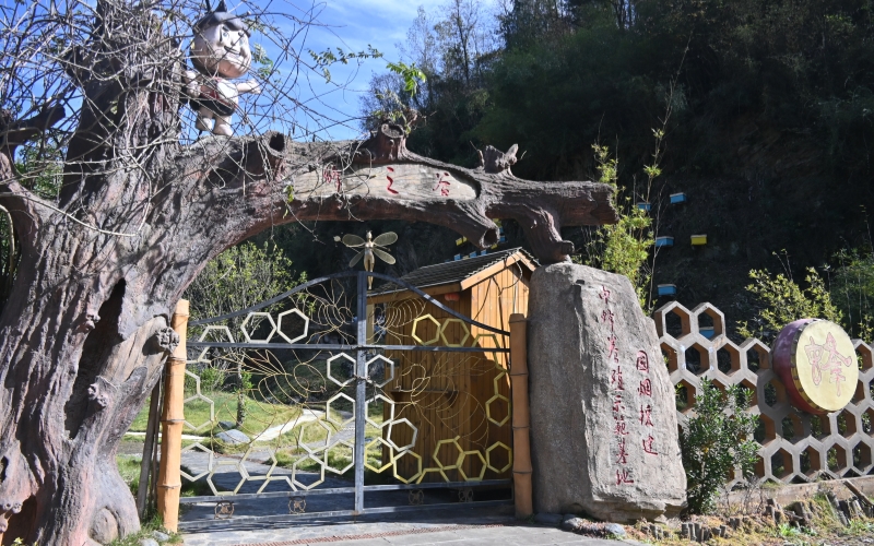十堰竹山：一群小蜜蜂“酿”出富民大产业(图3)