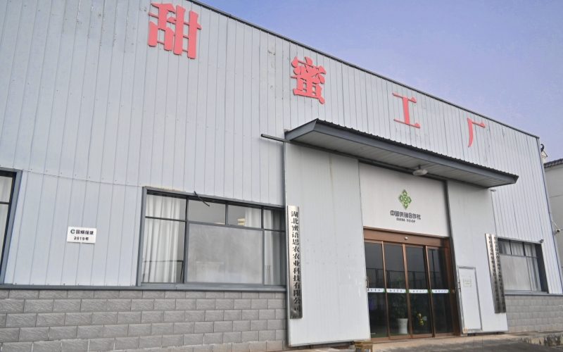 十堰竹山：一群小蜜蜂“酿”出富民大产业(图4)