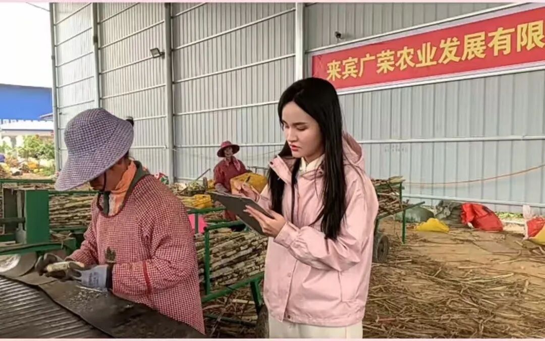 新农人话农机④从城市梦到田野心：黄少彦与广荣农机服务合作社的“禾米”新篇(图2)