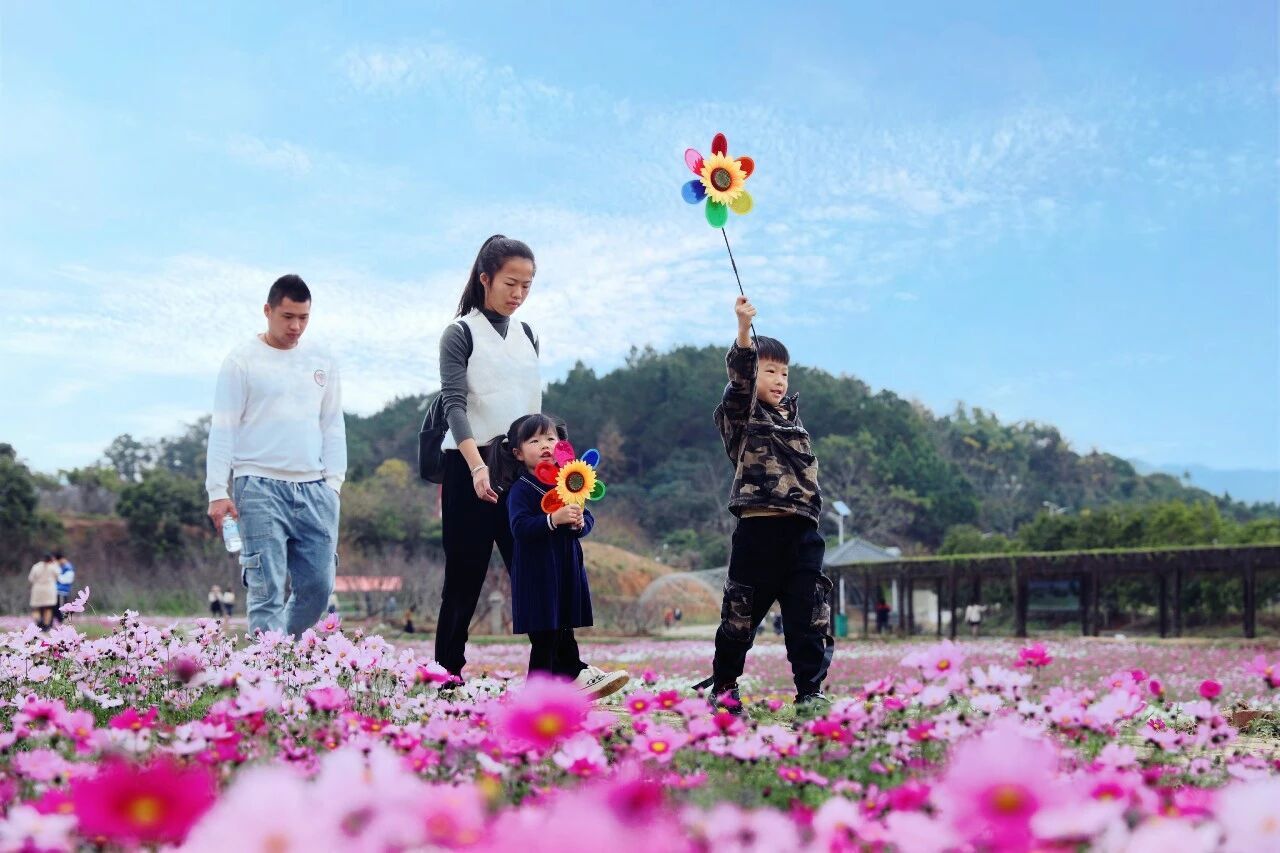 党建引领强根基多元发力助村旺——钦州市激活乡村振兴“一池春水”(图2)