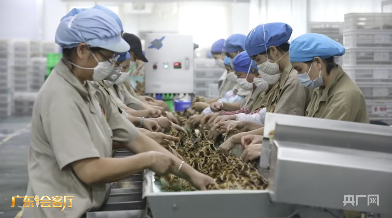 广东会客厅｜专访天农集团总裁张正芬：四十载扎根乡土让清远鸡飞向全国餐桌(图2)
