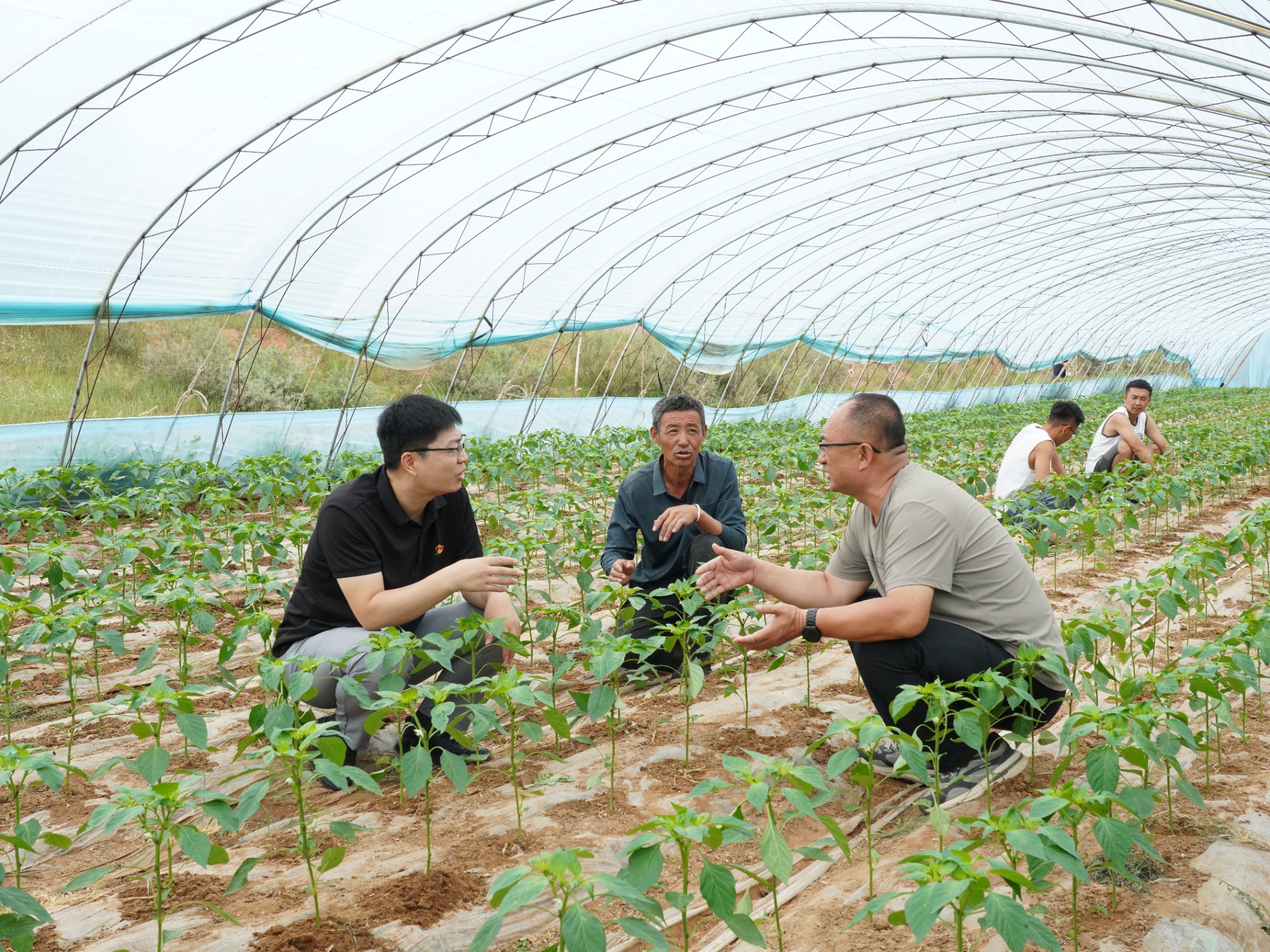 航油心盐池情：中国航油“十四五”定点帮扶宁夏盐池县纪实(图1)