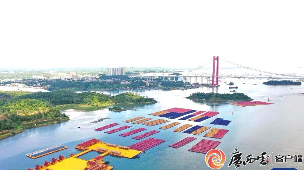 持证耕海向海图强丨广西以养殖用海改革破题海洋强区建设(图1)