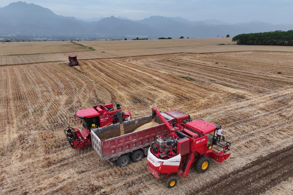 中国饭碗里装了更多中国粮2024年我国粮食产量首次突破14万亿斤(图1)