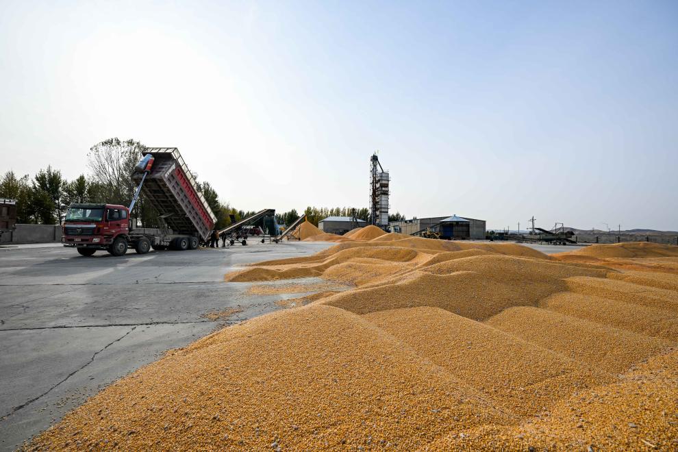 中国饭碗里装了更多中国粮2024年我国粮食产量首次突破14万亿斤(图3)