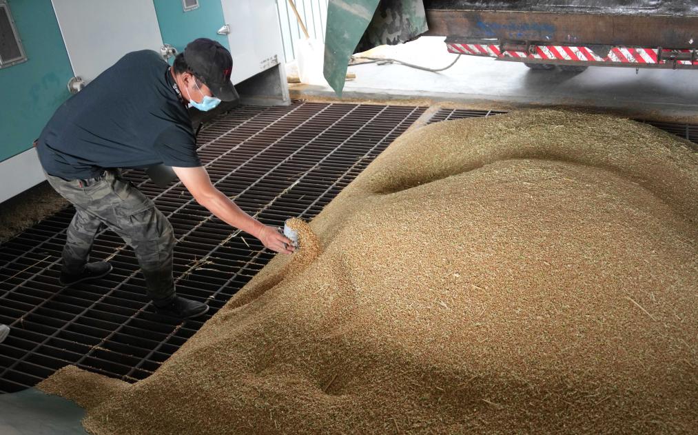 中国饭碗里装了更多中国粮2024年我国粮食产量首次突破14万亿斤(图4)