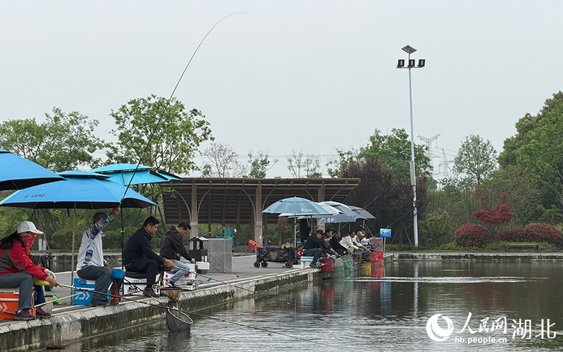 湖北沙洋：全域土地整治讓“一處美”變“一片美”(图4)