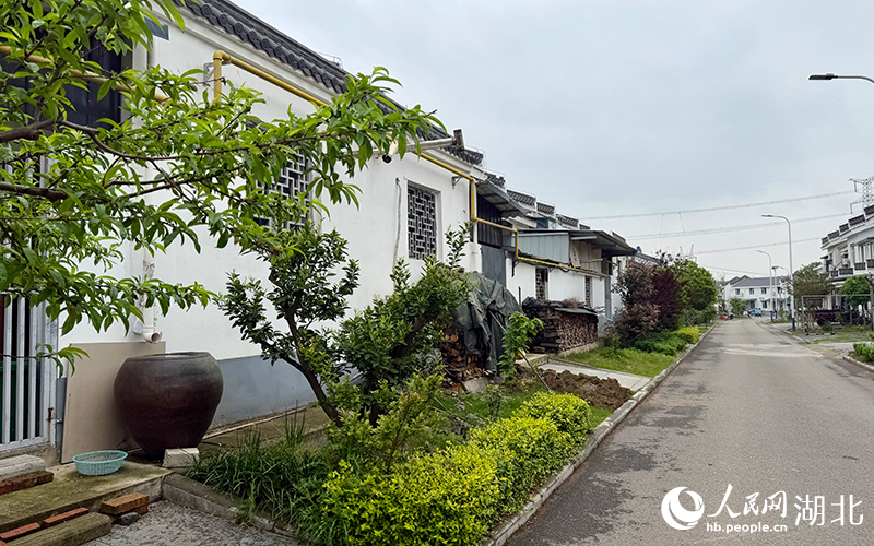 湖北沙洋：全域土地整治讓“一處美”變“一片美”(图3)