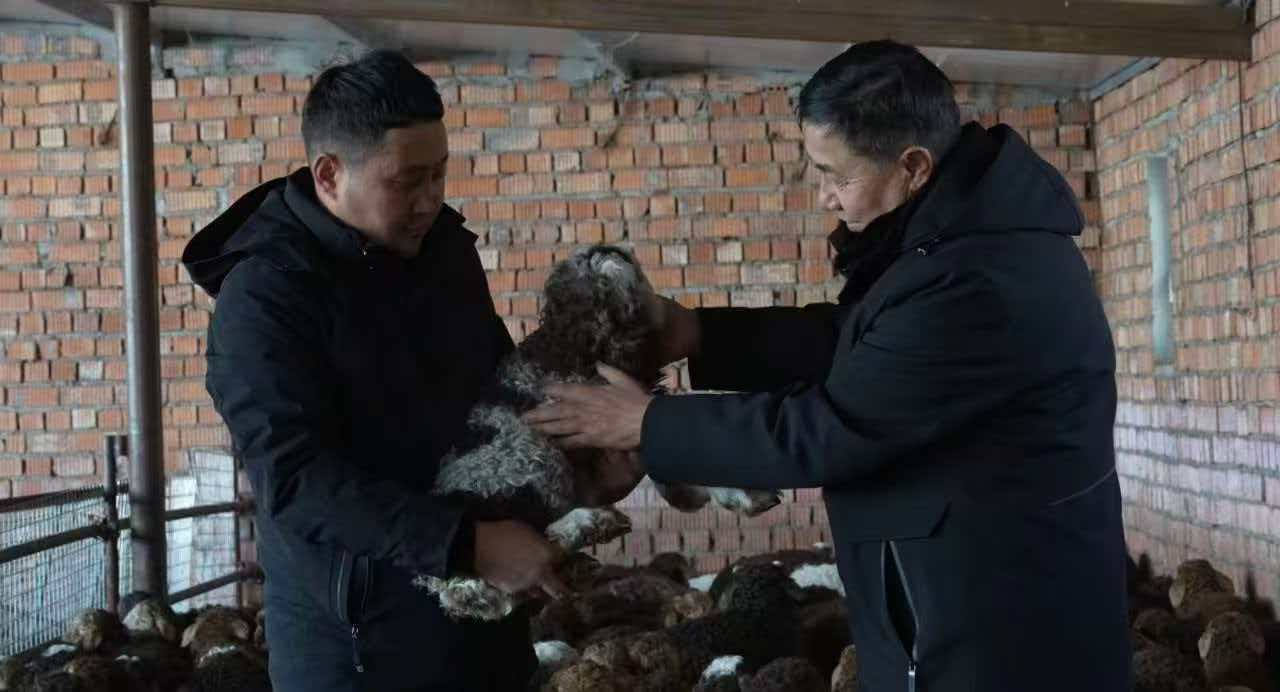 塔城：“牧九条”让养殖户底气更足(图4)