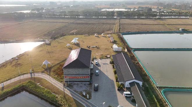 全满贯！青浦“住别墅”的大闸蟹火出圈(图3)