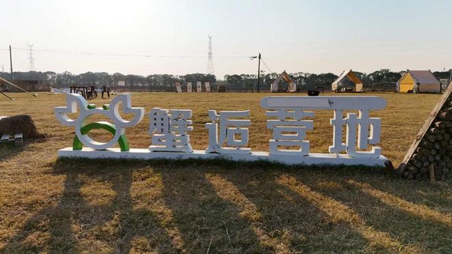 全满贯！青浦“住别墅”的大闸蟹火出圈(图4)