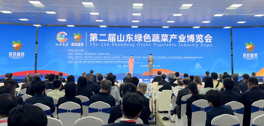 “莘县蔬菜”叫响全国的背后——莘县现代农业发展观察之品牌强农篇(图3)