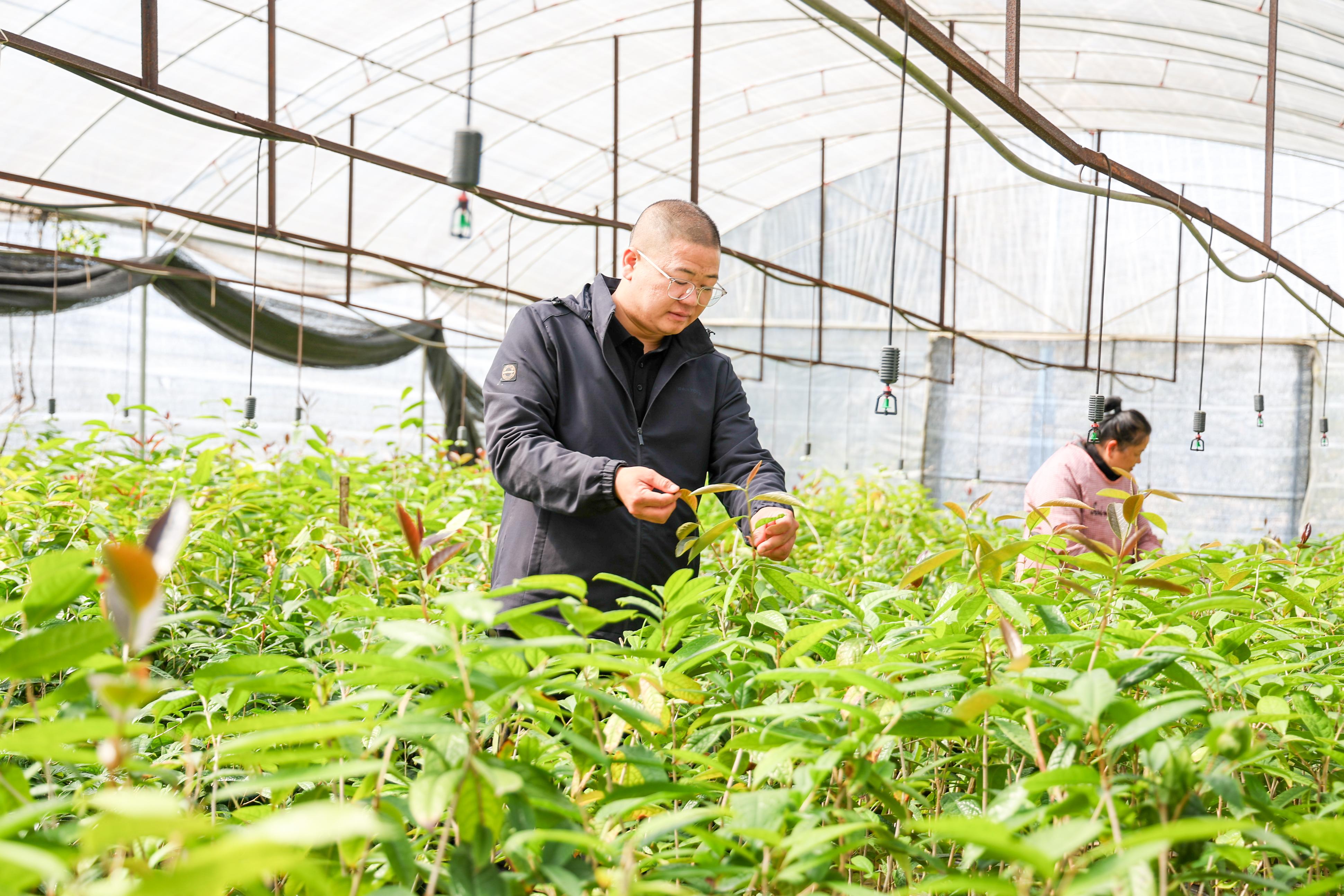 深读“土专家”有名头乡村振兴有奔头(图3)