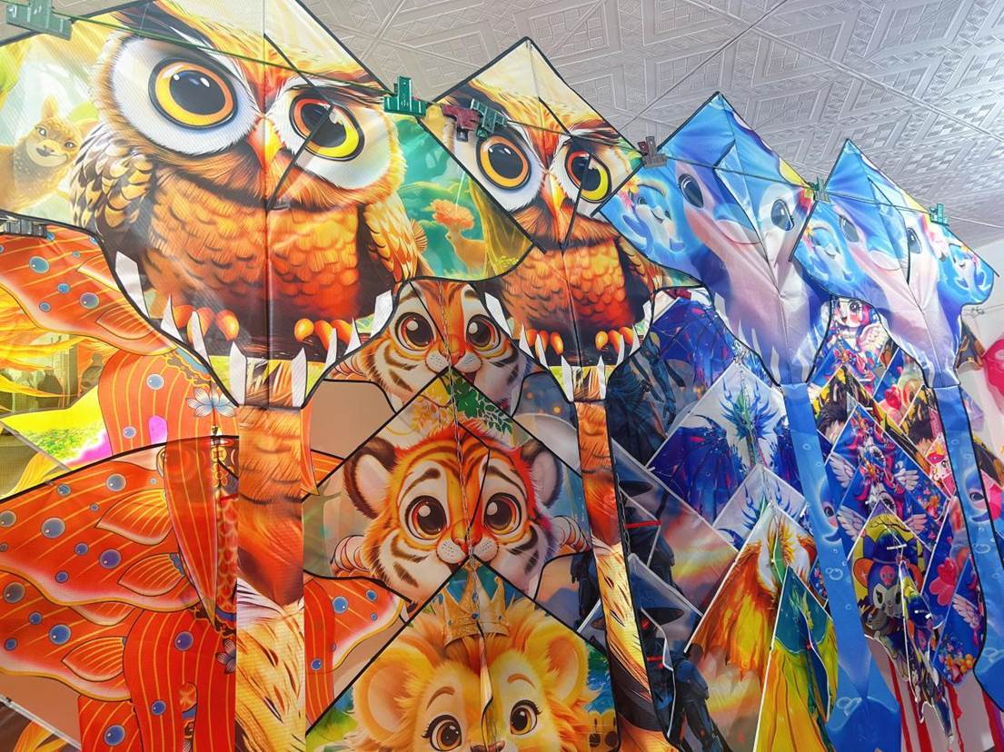 我的家鄉有特產丨一根風箏線牽起億元鏈(图2)