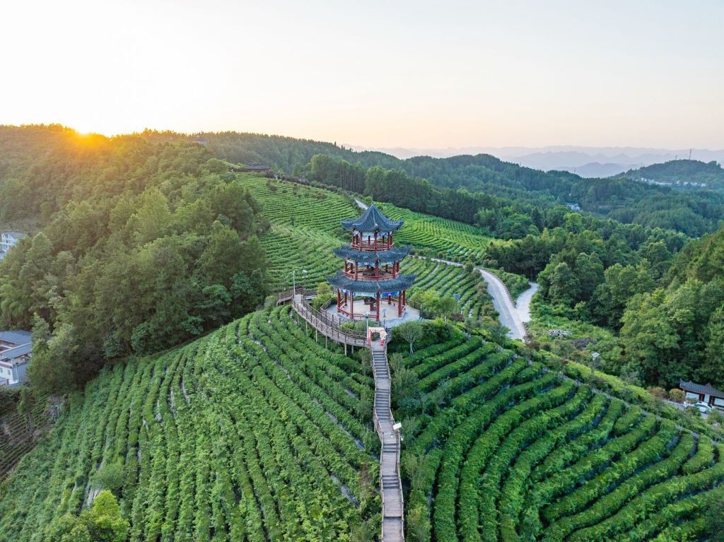 恩施两座小山村的出圈密码(图5)