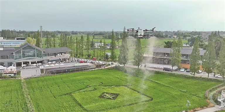 四川成都青白江区弥牟镇狮子村：田间智慧耕耘村里业态兴旺(图1)